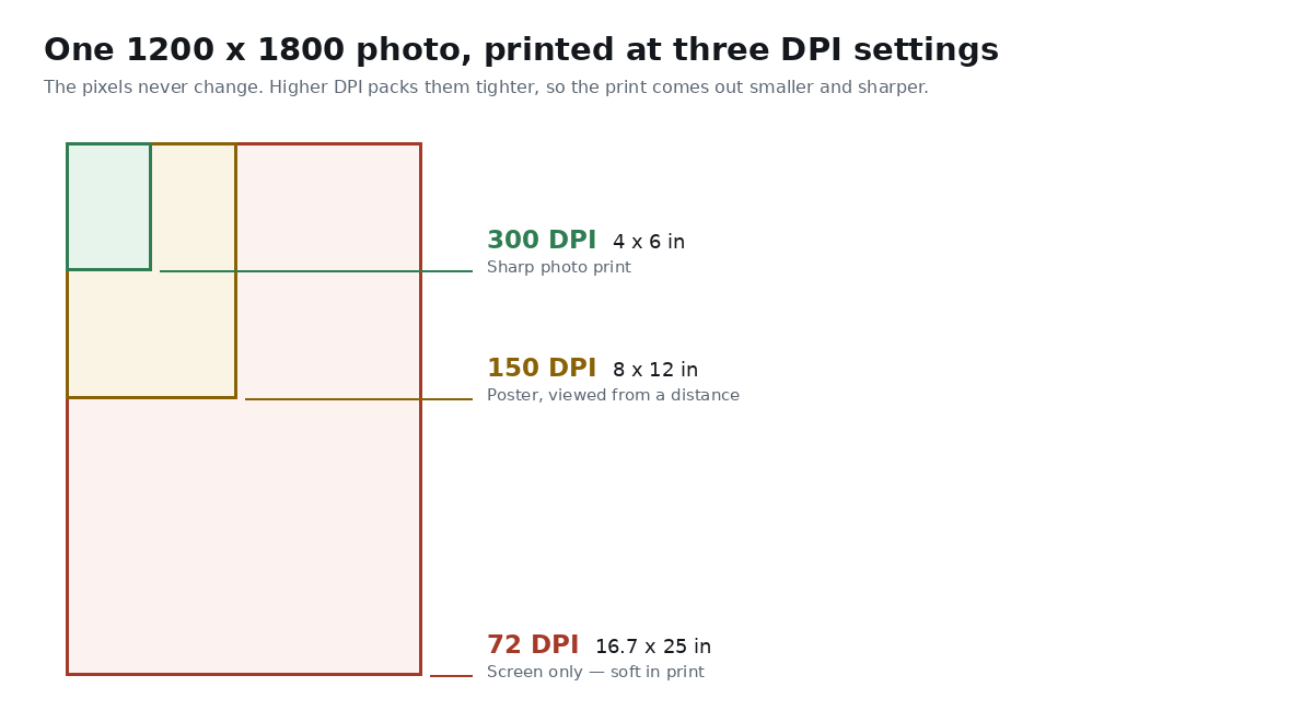 The same 1200x1800 photo shown at 300, 150 and 72 DPI, nested to scale: 4x6 inches, 8x12 inches and 16.7x25 inches.