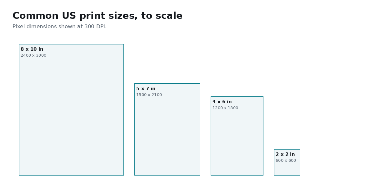 Common US print sizes drawn to scale: 8x10, 5x7, 4x6 and 2x2 inches, each labelled with its pixel dimensions at 300 DPI.